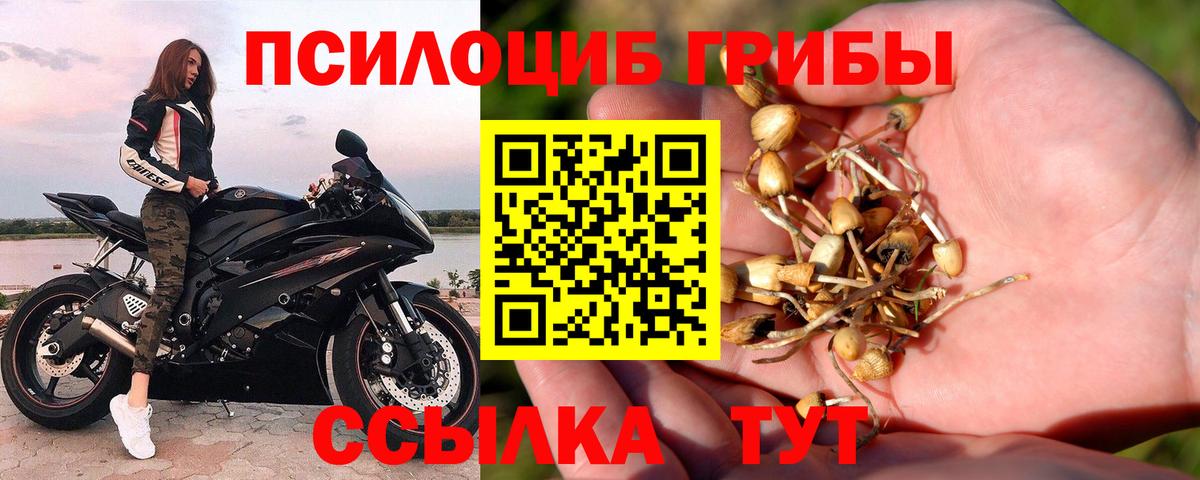  COCAIN Полысаево