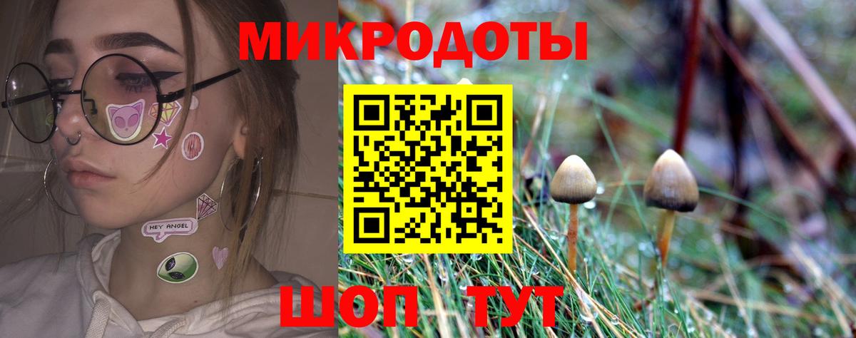Галлюциногенные грибы Psilocybine cubensis Полысаево