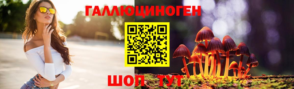 Полысаево  Галлюциногенные грибы Psilocybe  Псилоцибиновые грибы Psilocybe  Вход с VPN 